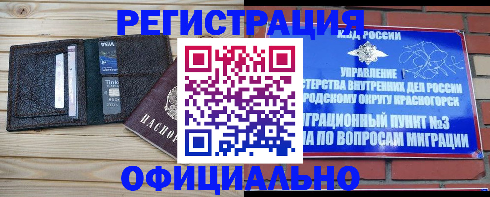купить прописку в Курчалом